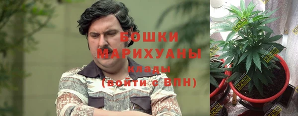 гашиш Богданович