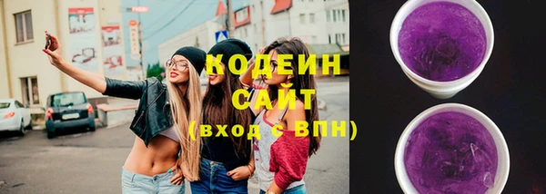 крисы Бронницы