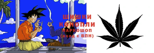гашиш Богданович