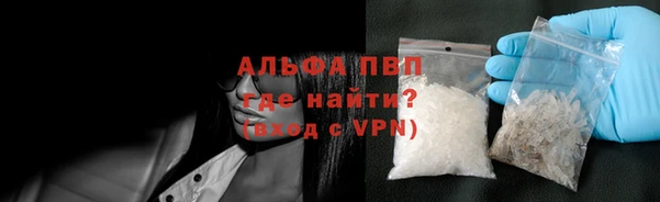 гашиш Богданович